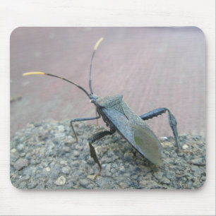 Volwassenen zwarte verzamelobjecten (Reduviid) Muismat