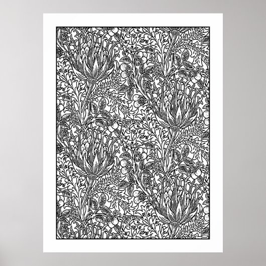 Volwassenkleurig Poster Art Nouveau Artichoke Dama (Voorkant)