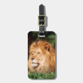 Volwassenmannetje Lion Bagagelabel (Voorkant verticaal)