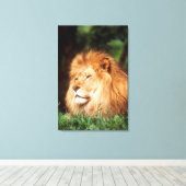 Volwassenmannetje Lion Canvas Afdruk (Insitu (Houten vloer))