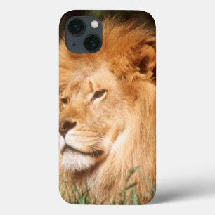 Volwassenmannetje Lion Case-Mate iPhone Case