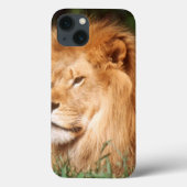 Volwassenmannetje Lion Case-Mate iPhone Case (Achterkant)