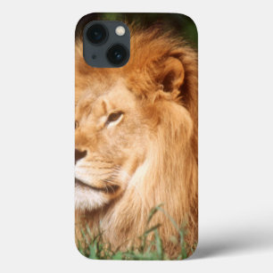 Volwassenmannetje Lion Case-Mate iPhone Case