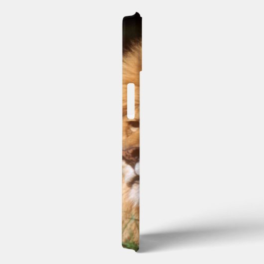 Volwassenmannetje Lion Case-Mate iPhone Case (Achterkant / Rechts)