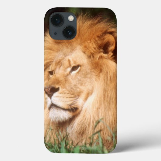 Volwassenmannetje Lion Case-Mate iPhone Case (Achterkant)
