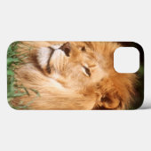 Volwassenmannetje Lion Case-Mate iPhone Case (Achterkant (horizontaal))