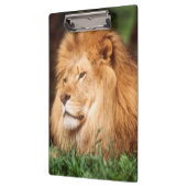 Volwassenmannetje Lion Klembord (Links)
