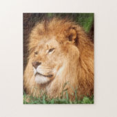 Volwassenmannetje Lion Legpuzzel (Verticaal)