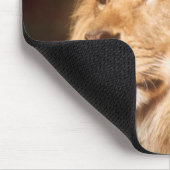 Volwassenmannetje Lion Muismat (Hoek)