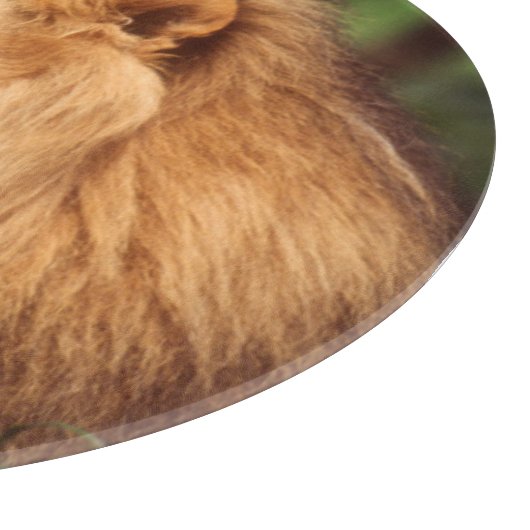 Volwassenmannetje Lion Snijplank (Hoek)