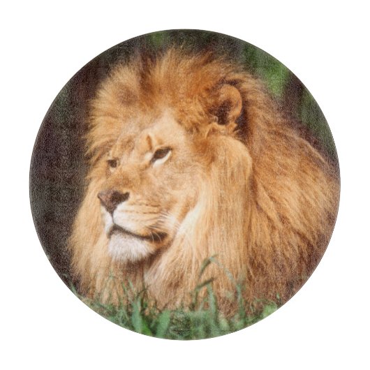 Volwassenmannetje Lion Snijplank (Voorkant)