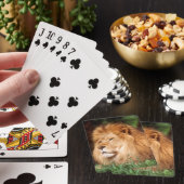 Volwassenmannetje Lion Speelkaarten (Insitu)