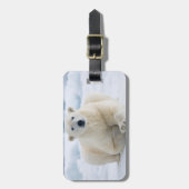 Volwassenpolair beer op zomerkaart bagagelabel (Voorkant verticaal)