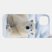Volwassenpolair beer op zomerkaart Case-Mate iPhone case (Achterkant (horizontaal))