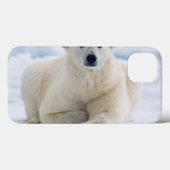 Volwassenpolair beer op zomerkaart Case-Mate iPhone case (Achterkant (horizontaal))