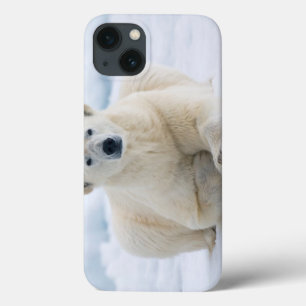 Volwassenpolair beer op zomerkaart iPhone 13 hoesje