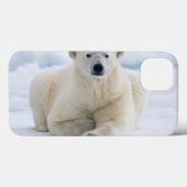 Volwassenpolair beer op zomerkaart Case-Mate iPhone case (Achterkant (horizontaal))