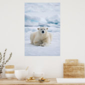 Volwassenpolair beer op zomerkaart poster (Keuken)