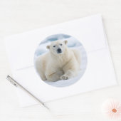 Volwassenpolair beer op zomerkaart ronde sticker (Envelop)