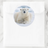 Volwassenpolair beer op zomerkaart ronde sticker (Tas)