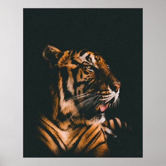 VOLWASSENTIGER PRONE LYING INSIDE DIM LIGHTED ROOM POSTER (Voorkant)