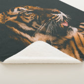 VOLWASSENTIGER PRONE LYING INSIDE DIM LIGHTED ROOM SHERPA DEKEN (3/4)