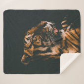 VOLWASSENTIGER PRONE LYING INSIDE DIM LIGHTED ROOM SHERPA DEKEN (Voorkant (horizontaal))