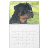 Von Aufstand Rottweilers Kalender (Jan 2027)