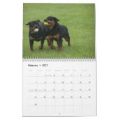 Von Aufstand Rottweilers Kalender (Feb 2027)