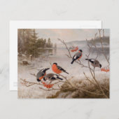 Von Wright in winterlandschap CC0821 Briefkaart (Voorkant / Achterkant)