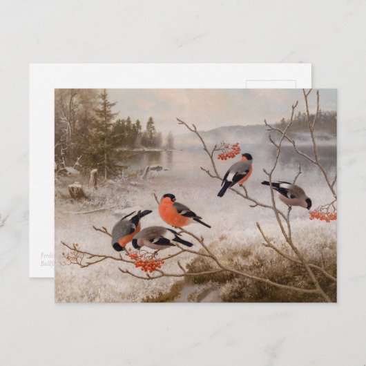 Von Wright in winterlandschap CC0821 Briefkaart (Voorkant / Achterkant)