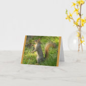 Vond Eekhoorn met het afbeelding van de Kaart (Gele Bloem)