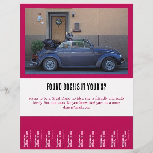 vond een harige vriend flyer (Voorkant)