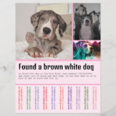 Vondene Hond Flyer (Voorkant)
