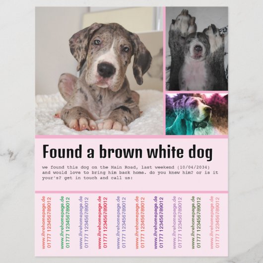 Vondene Hond Flyer (Voorkant)