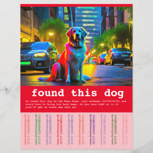 Vondense hond flyer