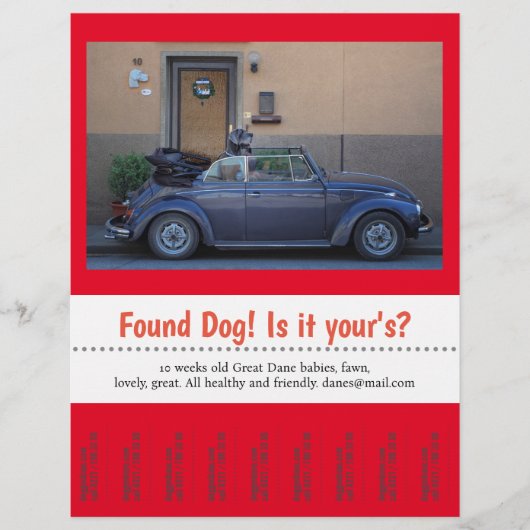 Vondst hond afscheur eigen tekst flyer (Voorkant)