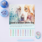 Vondst hond flyer (Enkel)