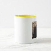 Voodoekjes ~ Cave Mok (Midden)