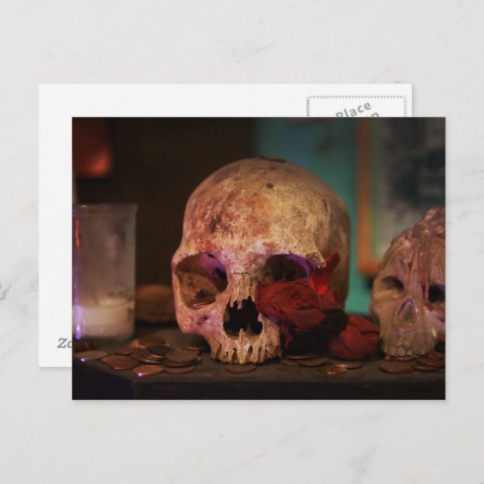 Voodoo Hoodoo uit New Orleans Briefkaart (Voorkant / Achterkant)