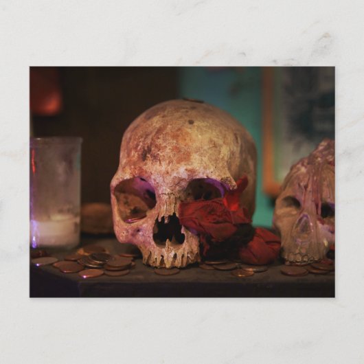 Voodoo Hoodoo uit New Orleans Briefkaart (Voorkant)