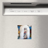 Voodoo Knockdown Doll carnival game de duin van Ma Magneet (Insitu (Vaatwasser))