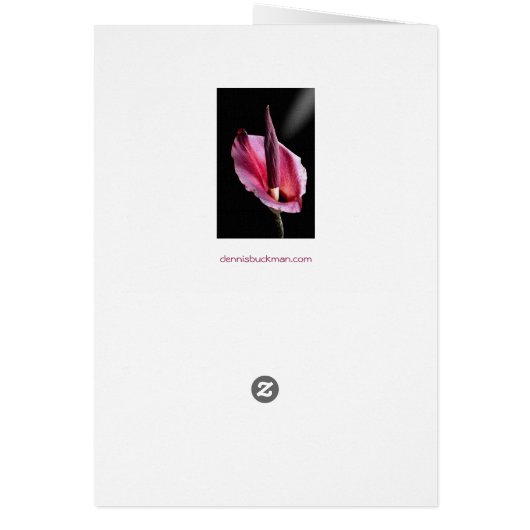 Voodoo Lily Cards (Achterkant)