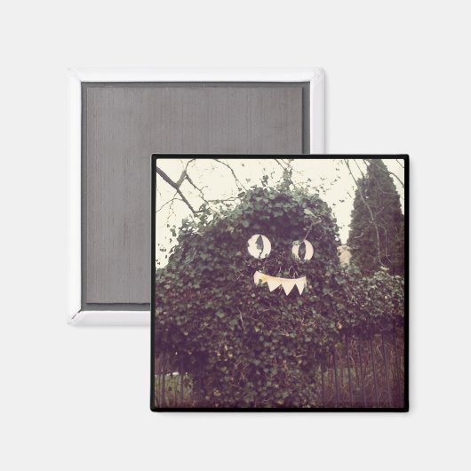 Voodoo-Struik Magneet (Voorkant / Achterkant)