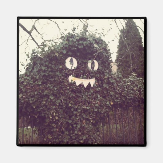 Voodoo-Struik Magneet (Voorkant)