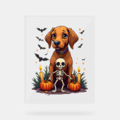 Voodoo Vizsla Dog Acryl Bord (Voorkant)