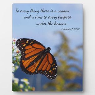 Voor alles is er een reden fotoplaat