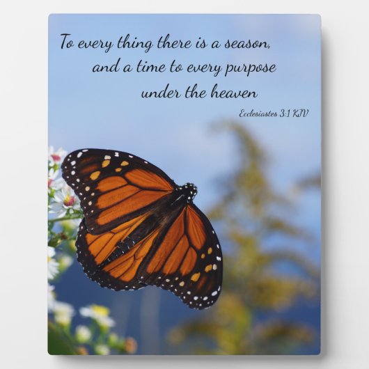 Voor alles is er een reden fotoplaat (Voorkant)