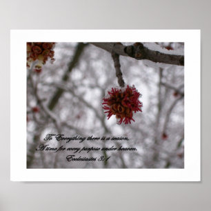 Voor alles is er een reden poster