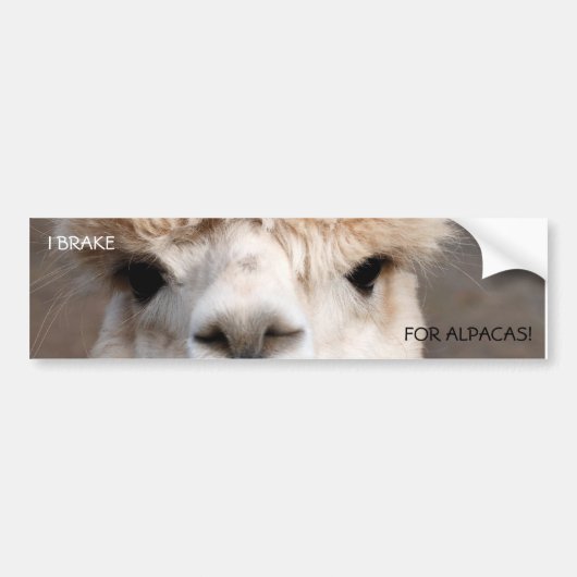 VOOR ALPACAS BRAKE. BUMPERSTICKER (Voorkant)
